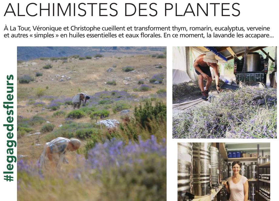 Nice Matin 09/08/20 Alchimistes des plantes