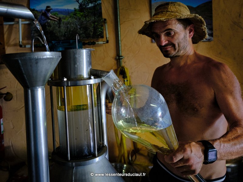 Présentation de la distillation par entrainement à la vapeur d eau