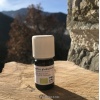 Huile essentielle BIO Eucalyptus globulus 50ml (2011)