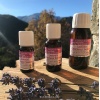 he_lavande-officinale