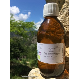 ha_pg-citronnier
