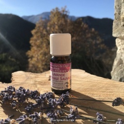 HE bio Lavande officinale 1200m 5ml