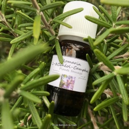 HE bio Romarin 1-8 cinéole-camphre 5ml