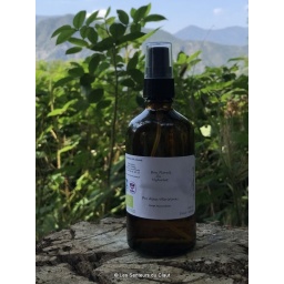 Hydrolat Ortie sauvage 100ml vapo